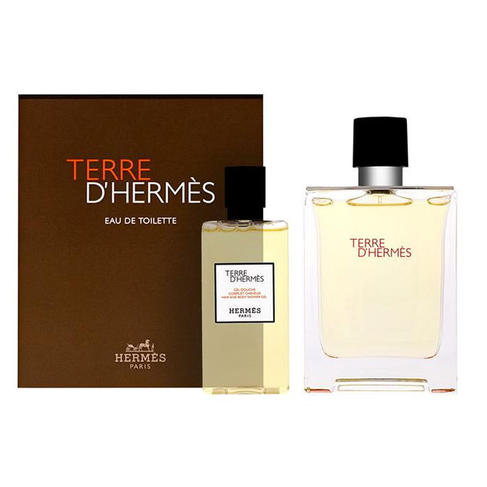 Hermès Terre D´Hermes Eau De Toilette Spray 100ml Set 2 Artikel