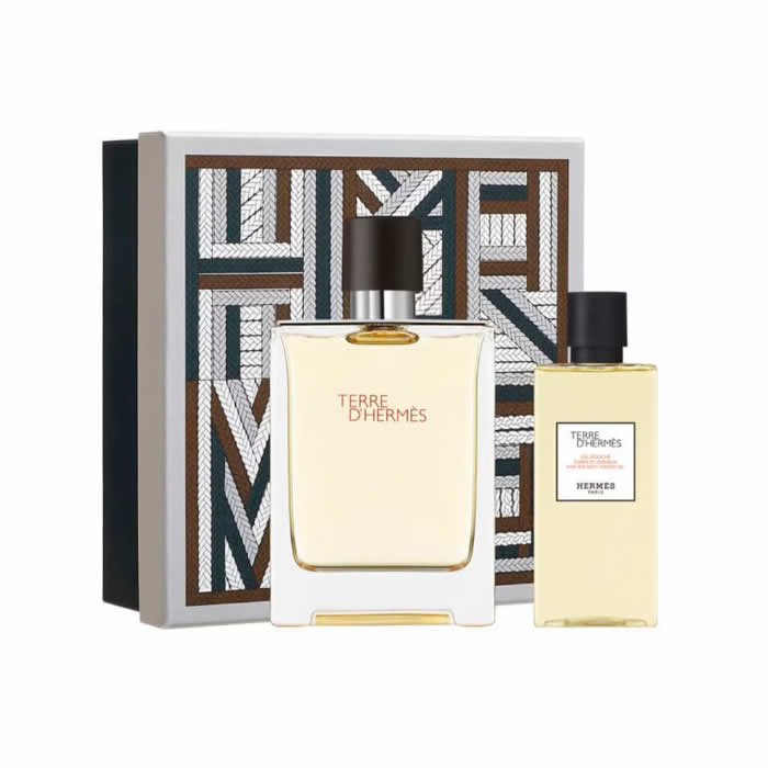 Hermès Terre D'Hermès Eau De Toilette Spray 100ml Set 2 Artikel